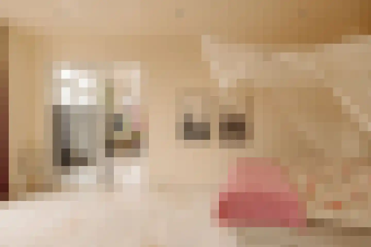 Nieuwe Spiegelstraat 6 C Amsterdam thumbnail 47