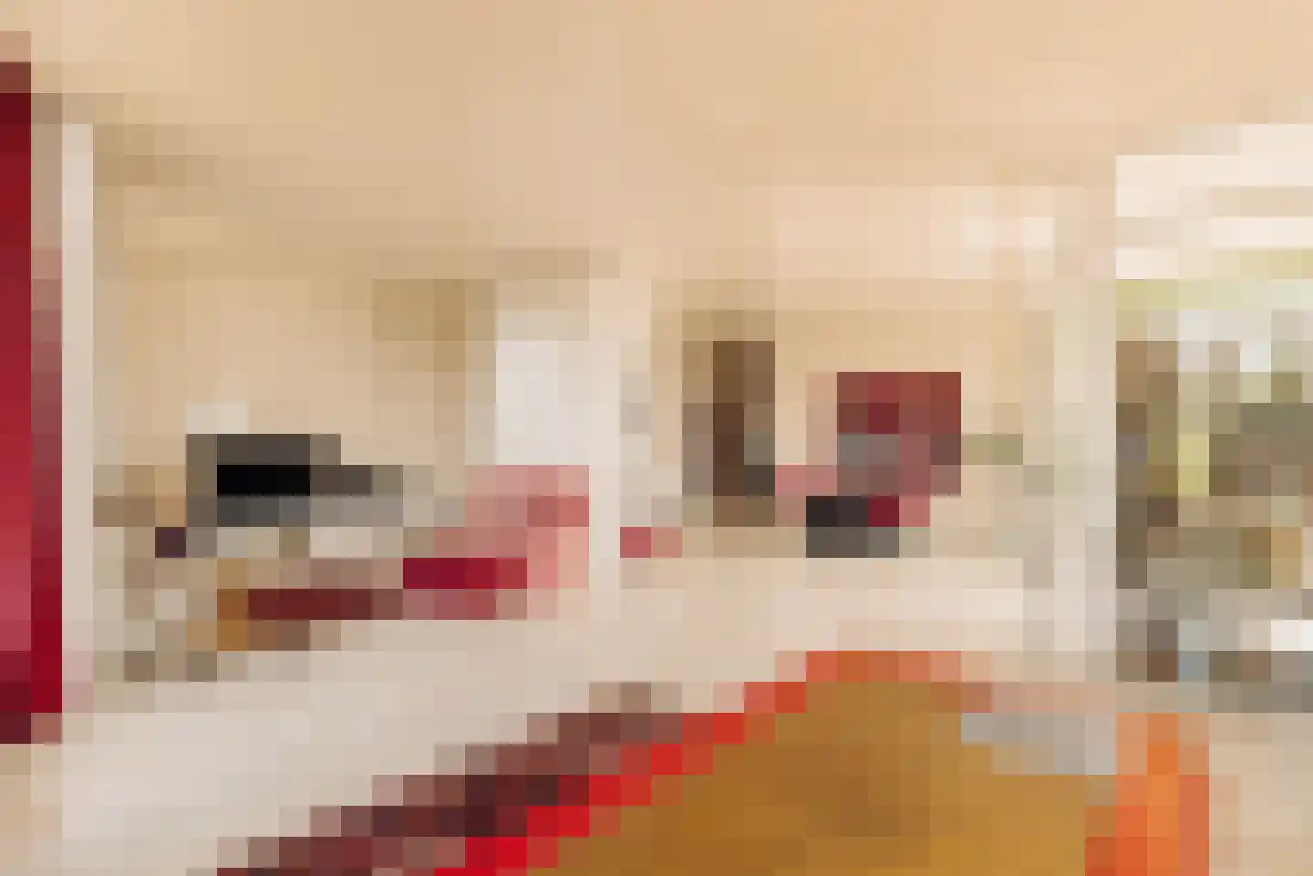 Nieuwe Spiegelstraat 6 C Amsterdam thumbnail 9