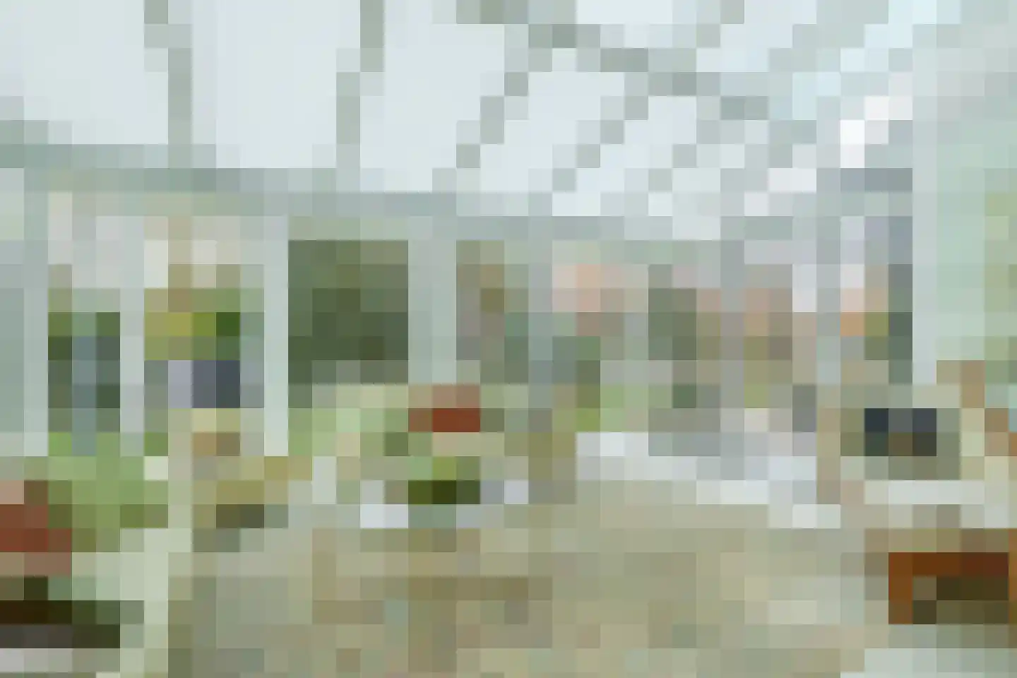 Nieuwe Statenzijl 23 Drieborg thumbnail 14