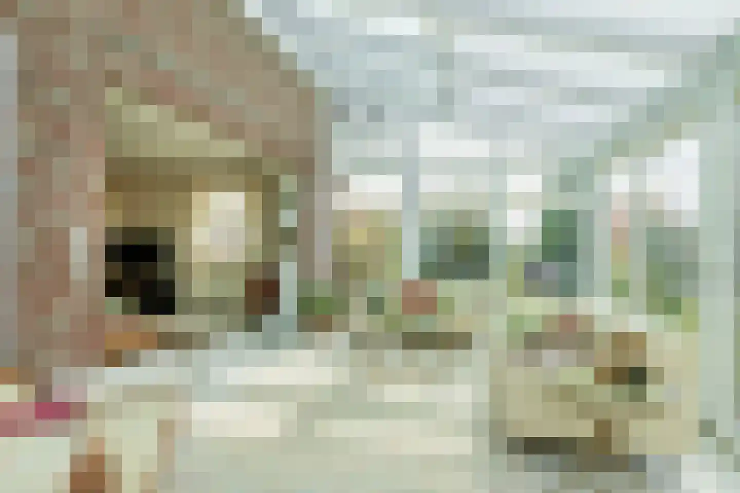 Nieuwe Statenzijl 23 Drieborg thumbnail 15