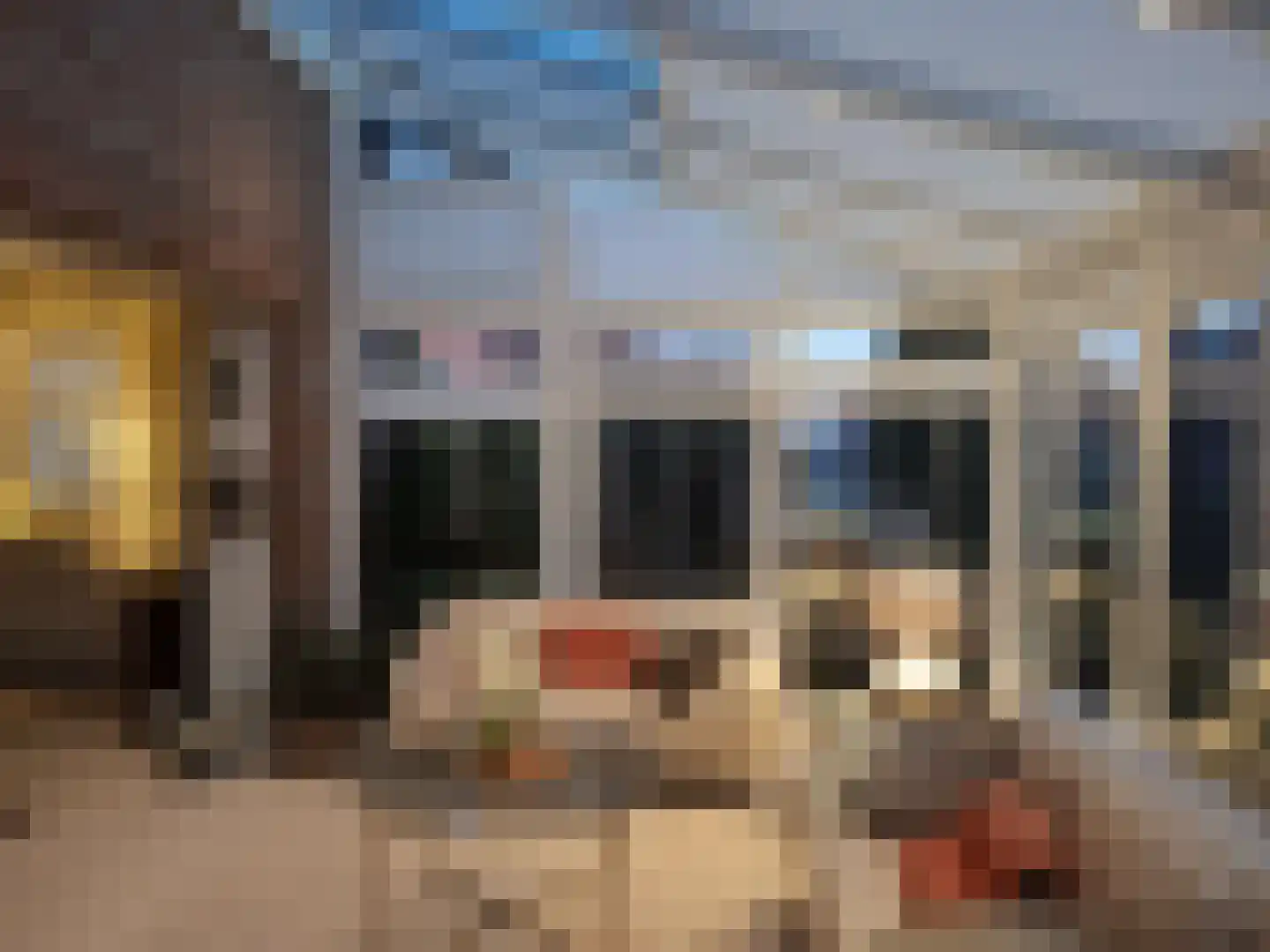 Nieuwe Statenzijl 23 Drieborg thumbnail 16