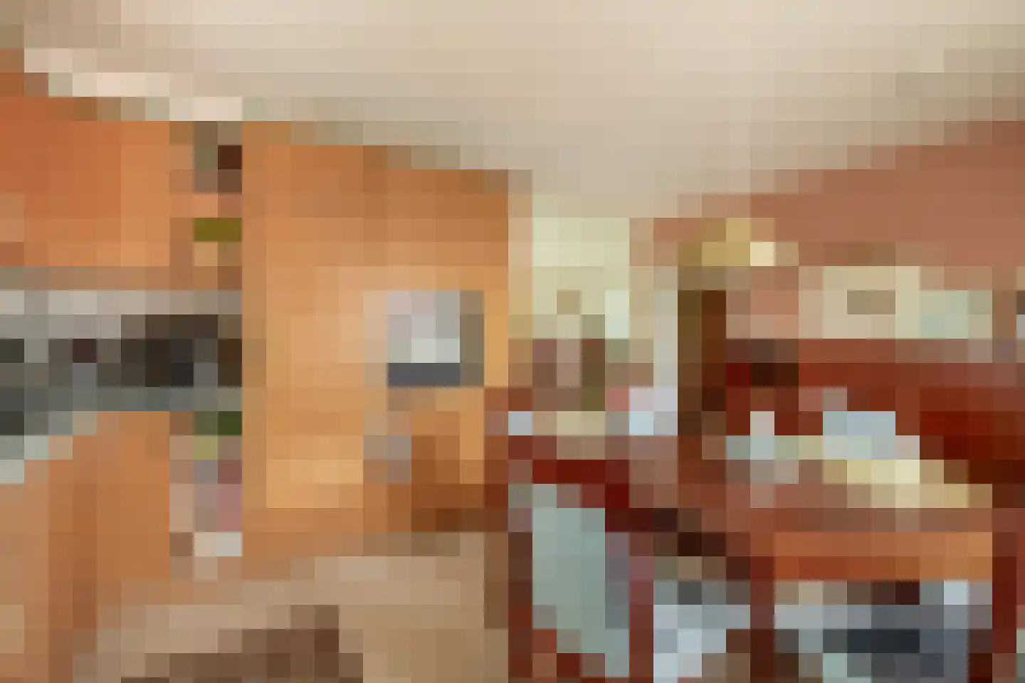 Nieuwe Statenzijl 23 Drieborg thumbnail 19