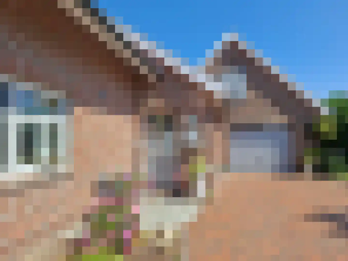 Nieuwe Statenzijl 23 Drieborg foto 2
