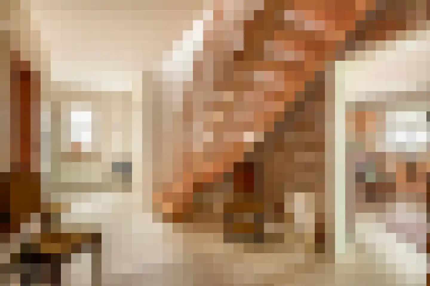 Nieuwe Statenzijl 23 Drieborg thumbnail 22