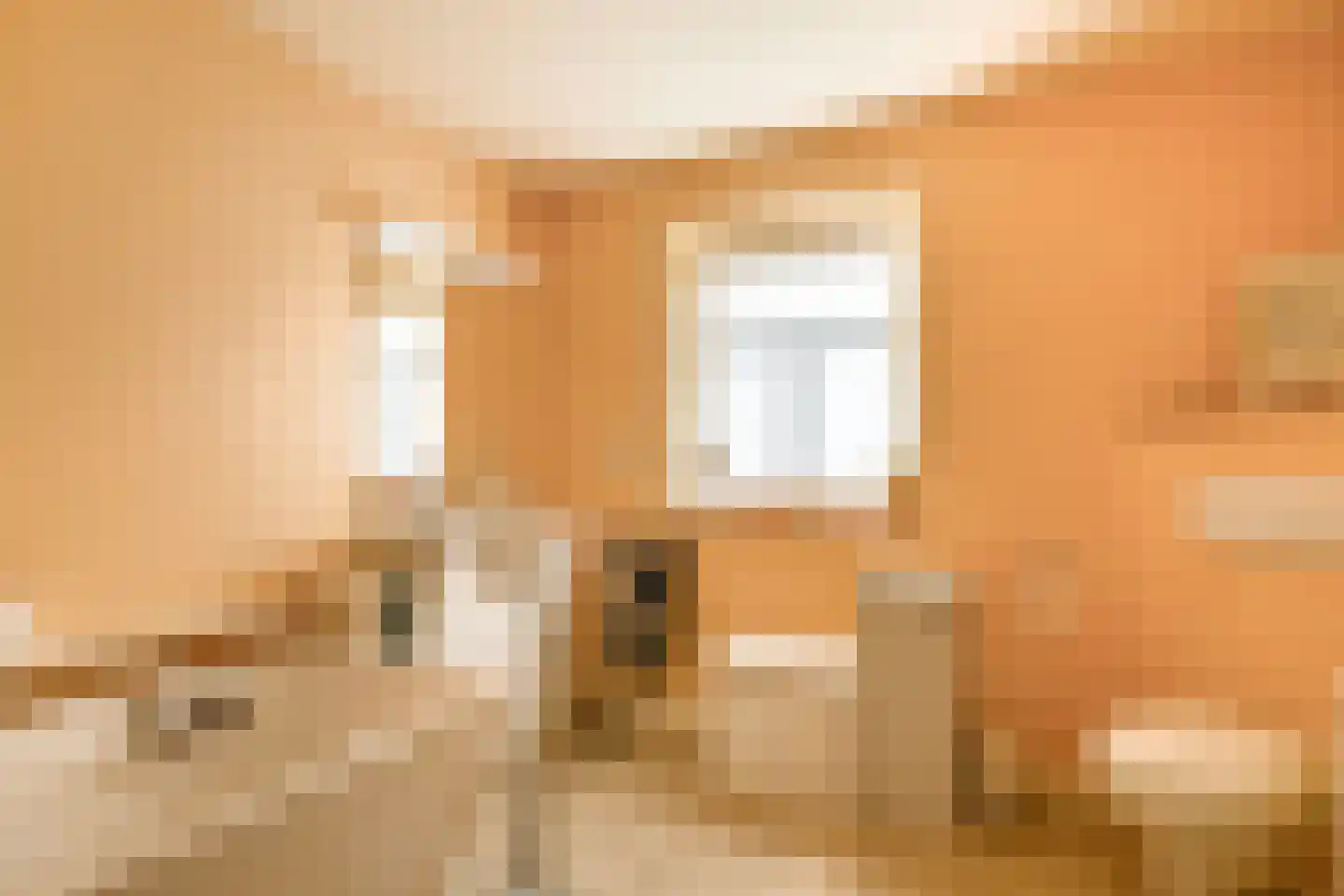 Nieuwe Statenzijl 23 Drieborg thumbnail 25