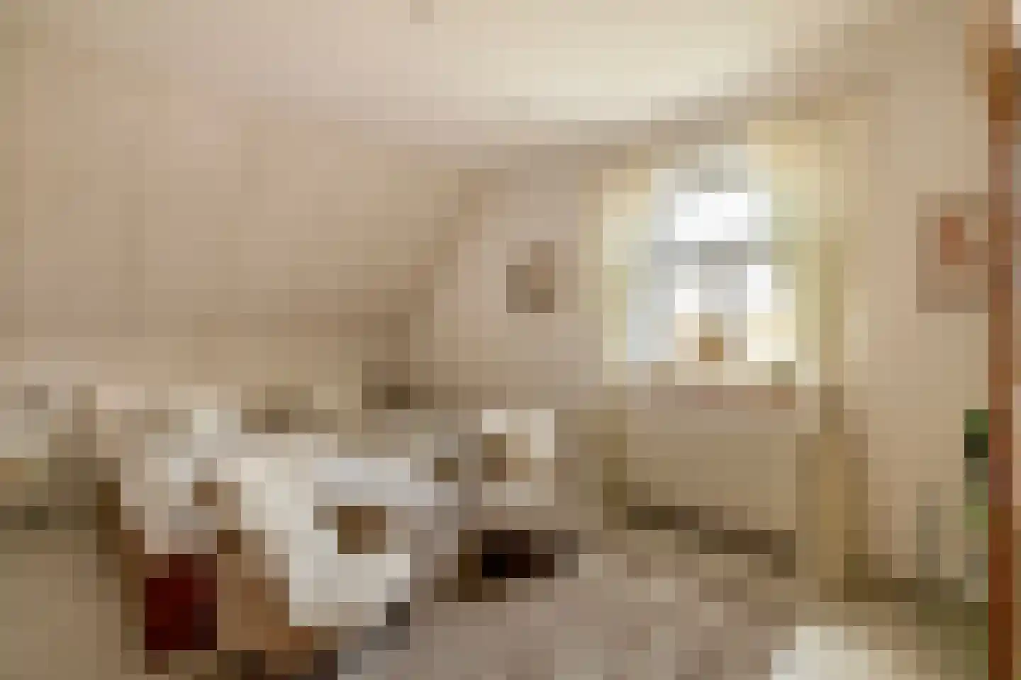 Nieuwe Statenzijl 23 Drieborg thumbnail 31