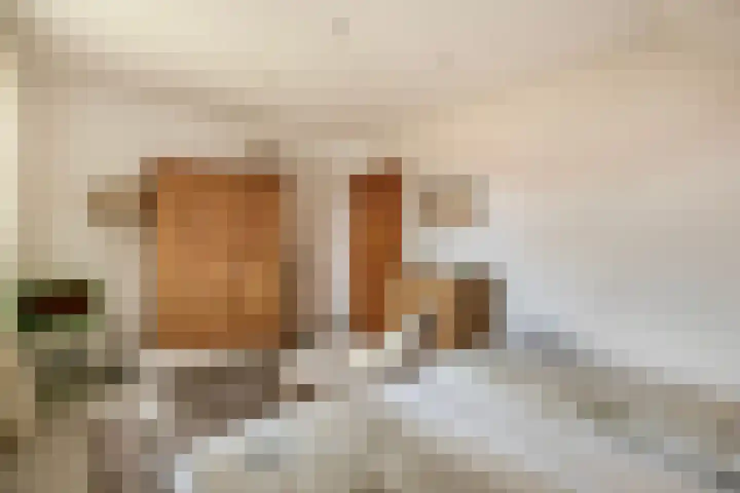 Nieuwe Statenzijl 23 Drieborg thumbnail 32