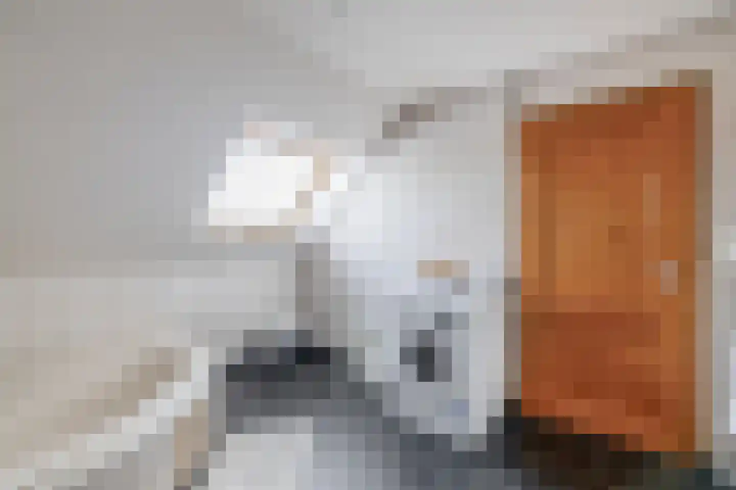 Nieuwe Statenzijl 23 Drieborg thumbnail 36