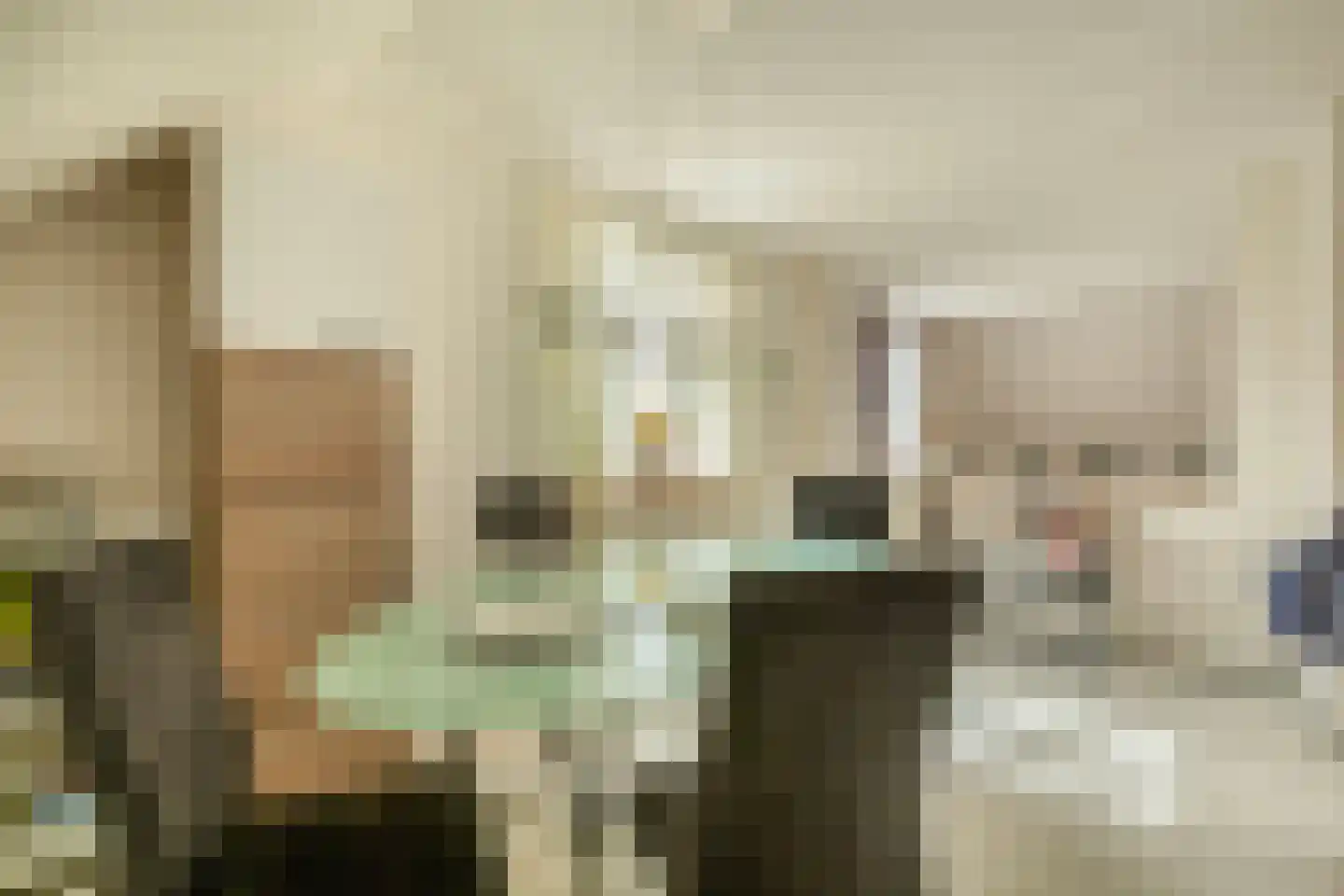 Nieuwe Statenzijl 23 Drieborg thumbnail 40