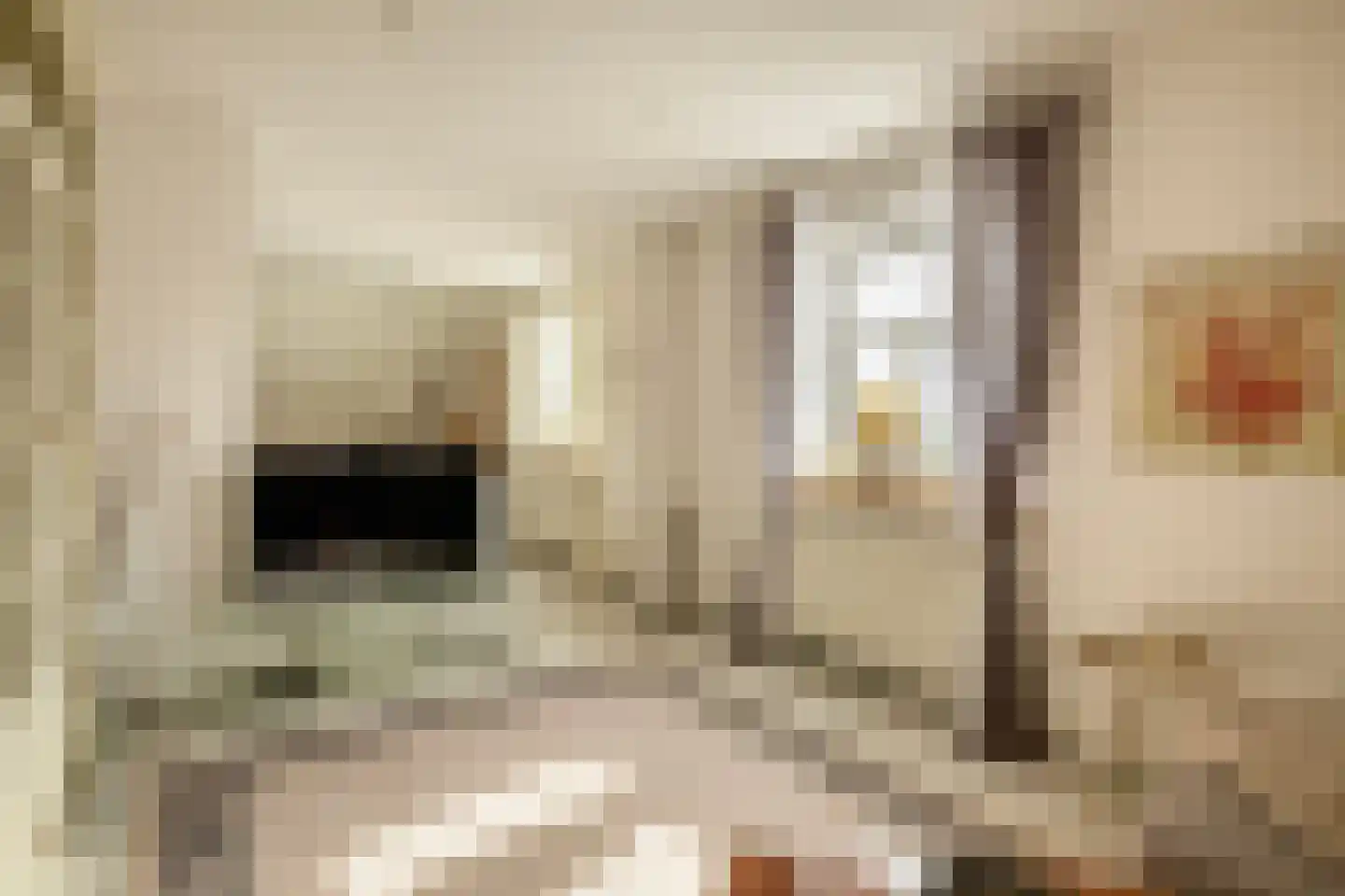 Nieuwe Statenzijl 23 Drieborg thumbnail 42