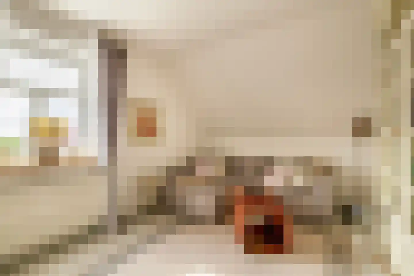 Nieuwe Statenzijl 23 Drieborg thumbnail 43