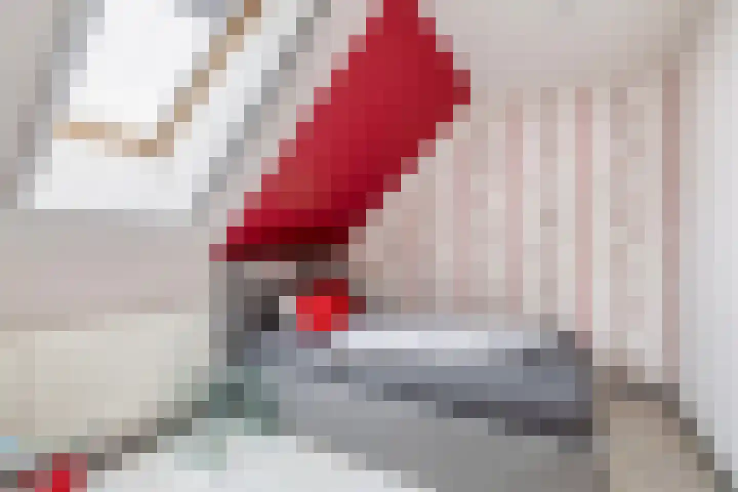 Nieuwe Statenzijl 23 Drieborg thumbnail 44