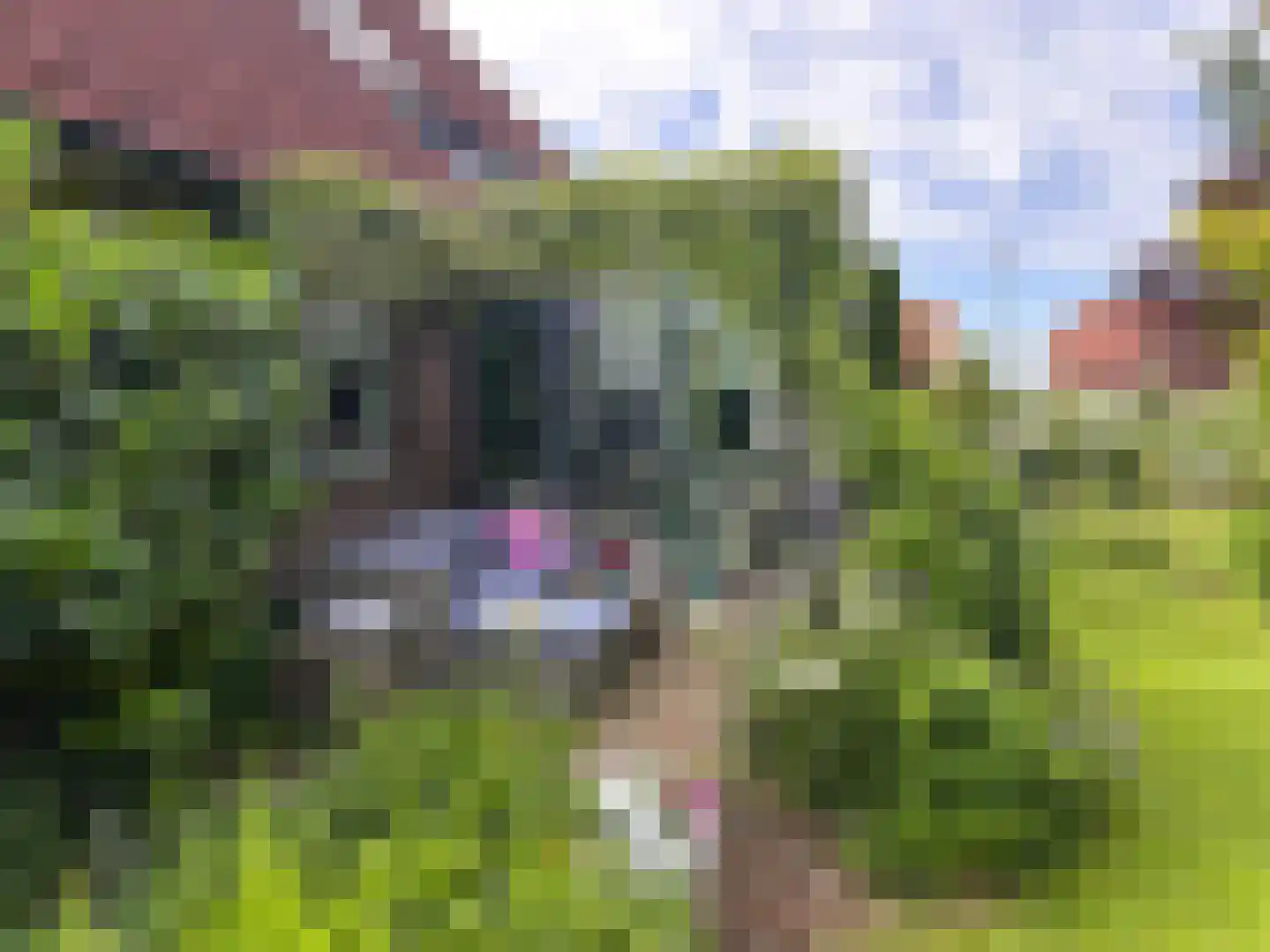 Nieuwe Statenzijl 23 Drieborg thumbnail 49