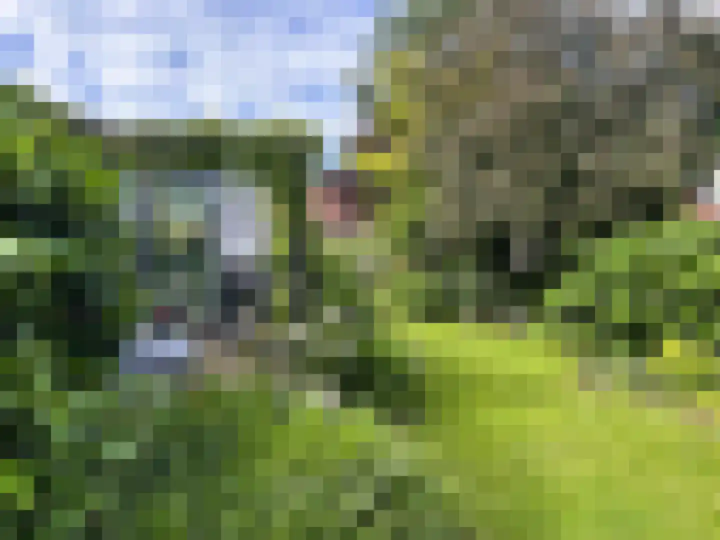 Nieuwe Statenzijl 23 Drieborg thumbnail 50