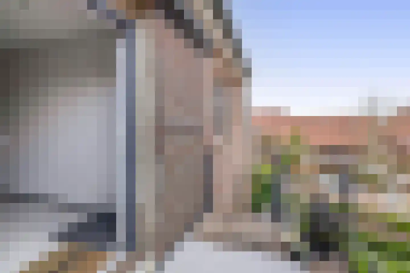 Nieuwe Statenzijl 23 Drieborg thumbnail 59