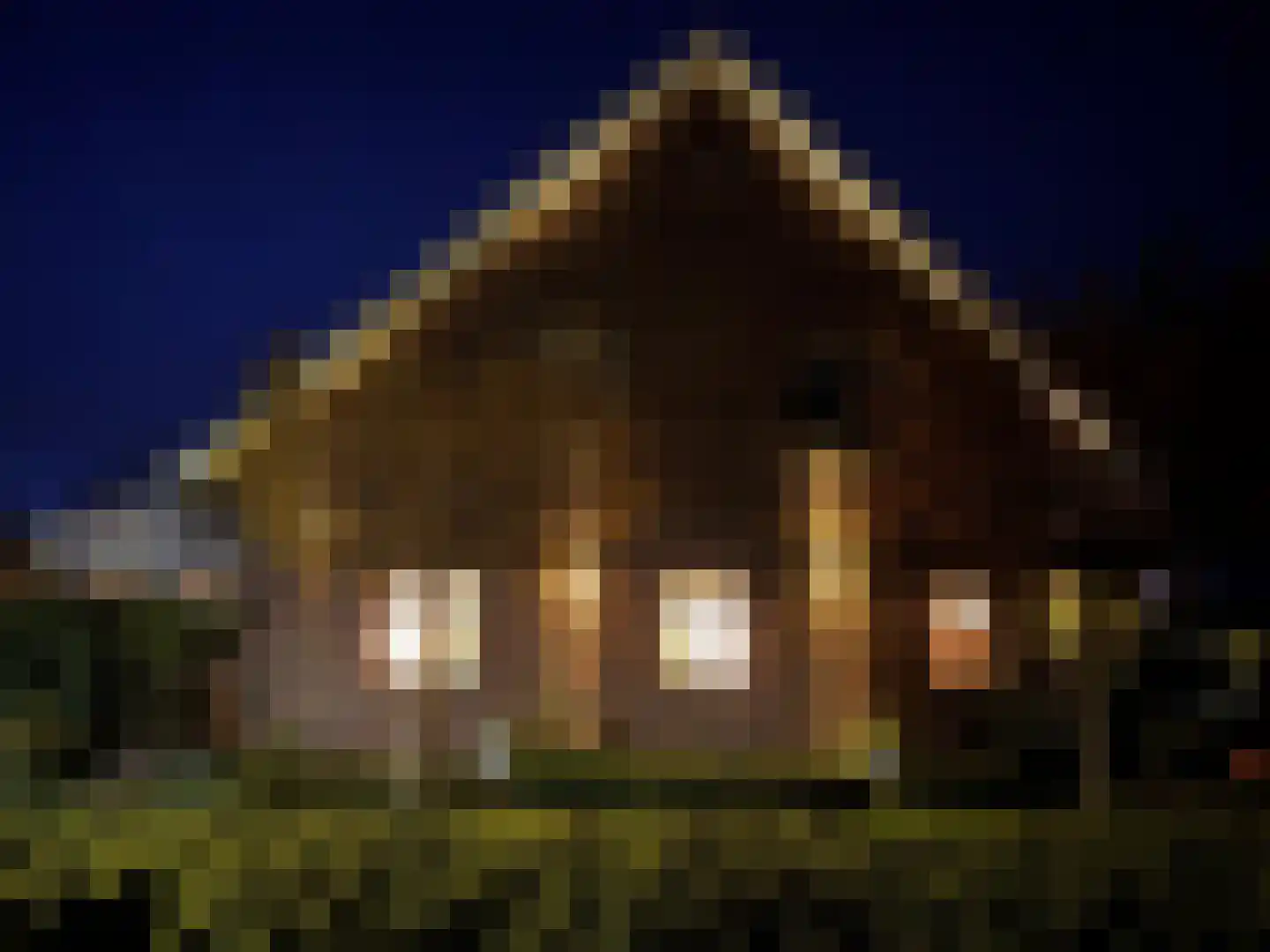 Nieuwe Statenzijl 23 Drieborg thumbnail 63