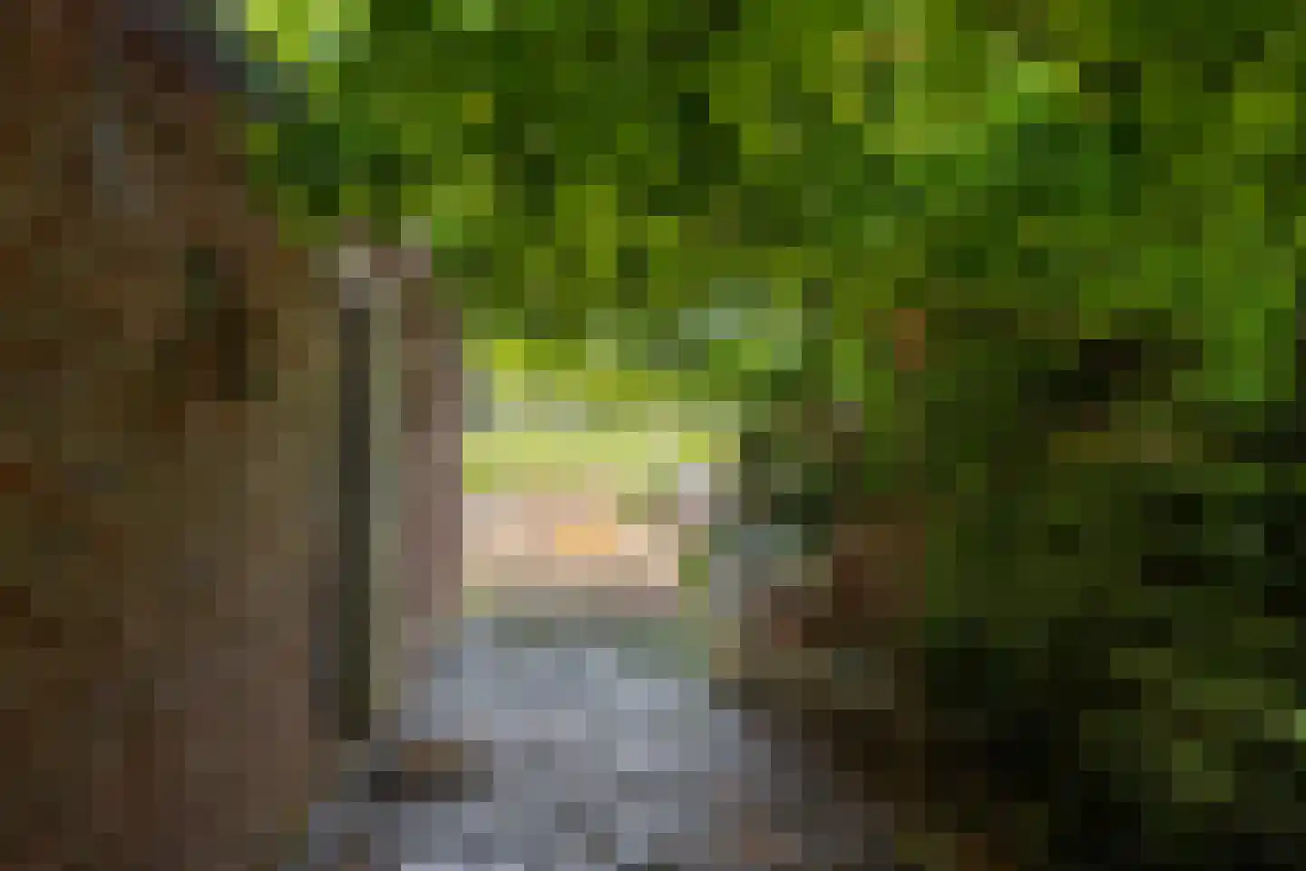 Nieuwe Statenzijl 37 Drieborg thumbnail 10