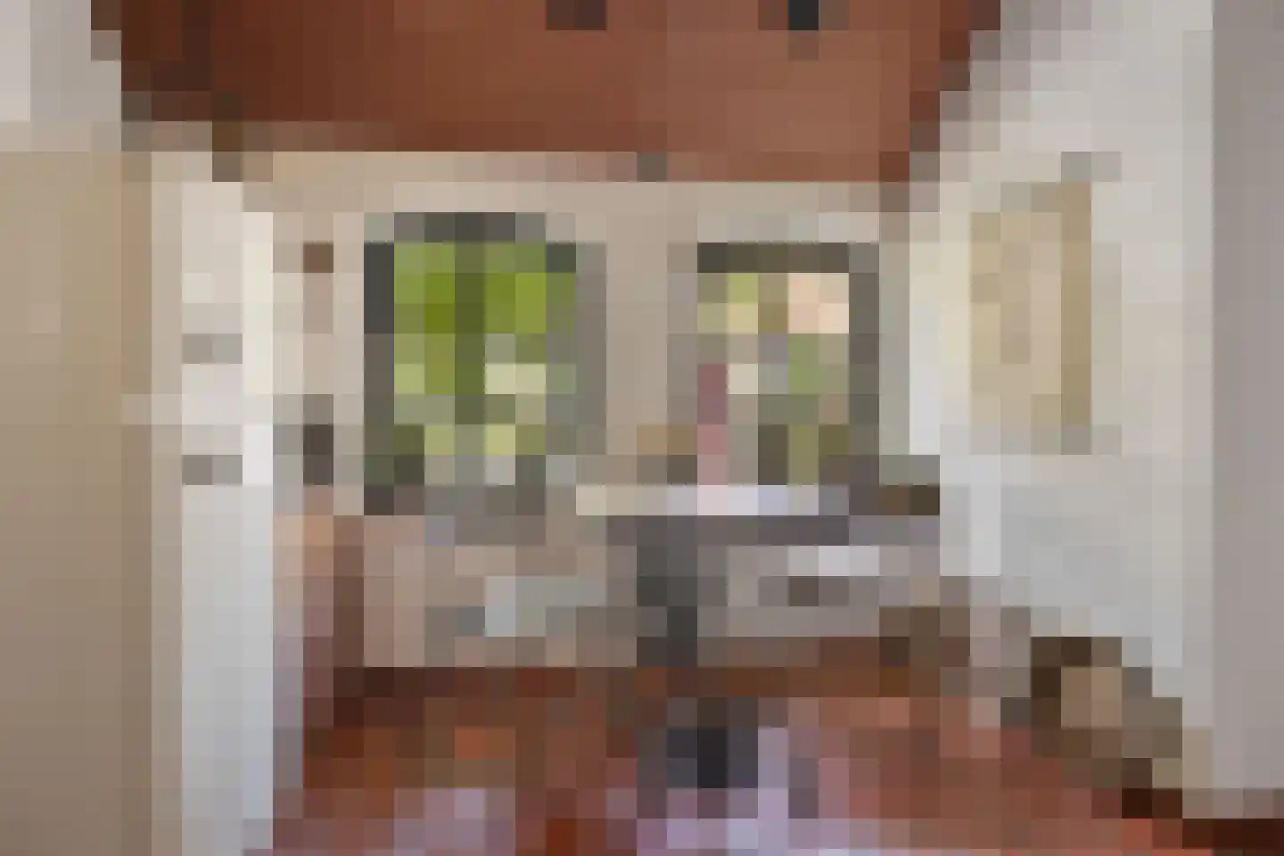 Nieuwe Statenzijl 37 Drieborg thumbnail 20