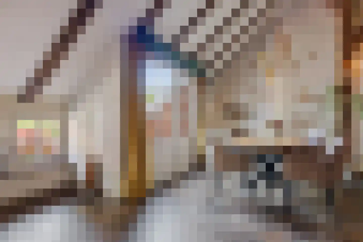 Nieuwe Statenzijl 37 Drieborg thumbnail 24