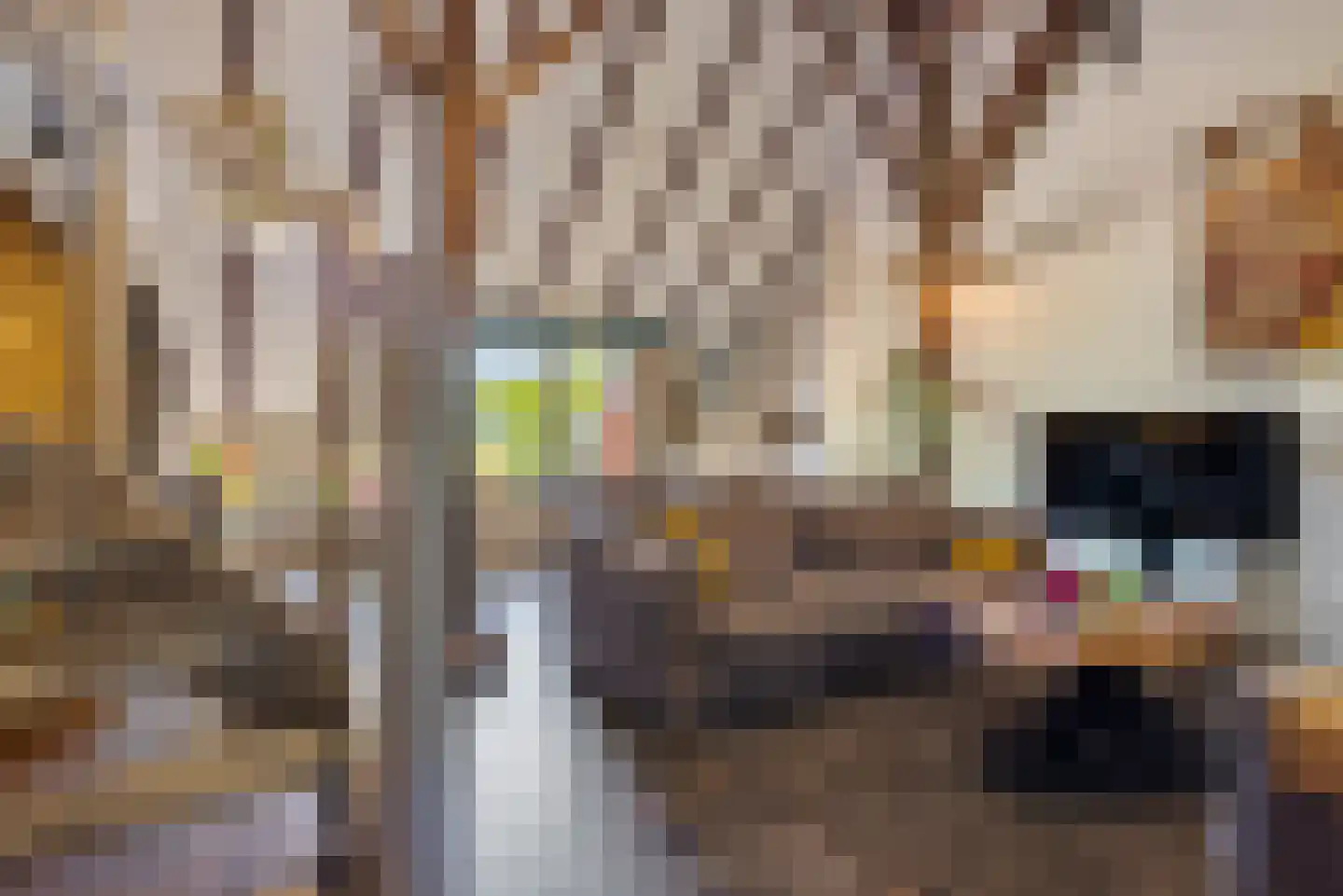 Nieuwe Statenzijl 37 Drieborg thumbnail 27