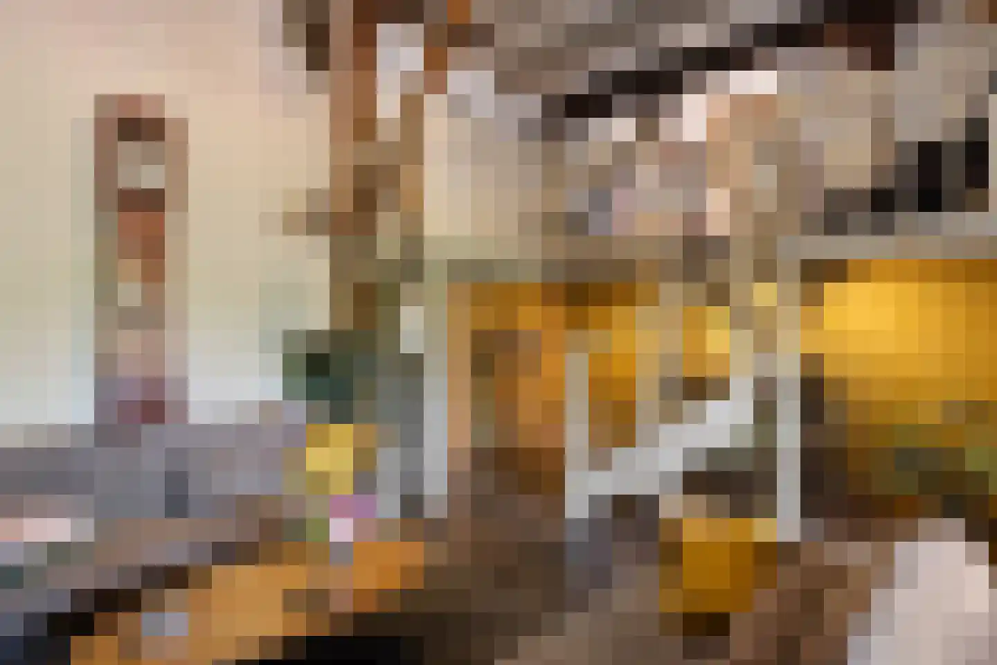 Nieuwe Statenzijl 37 Drieborg thumbnail 29