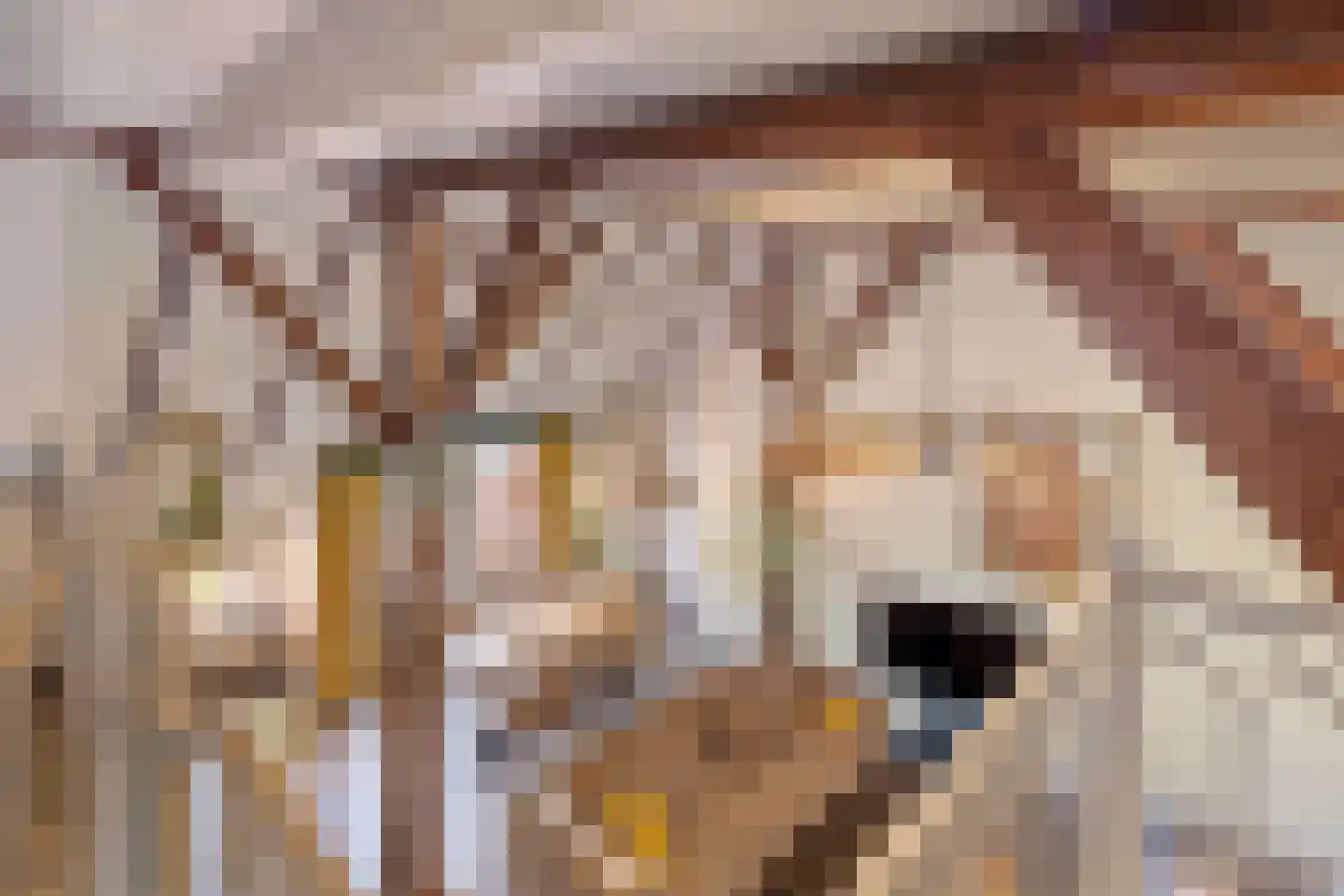 Nieuwe Statenzijl 37 Drieborg thumbnail 31