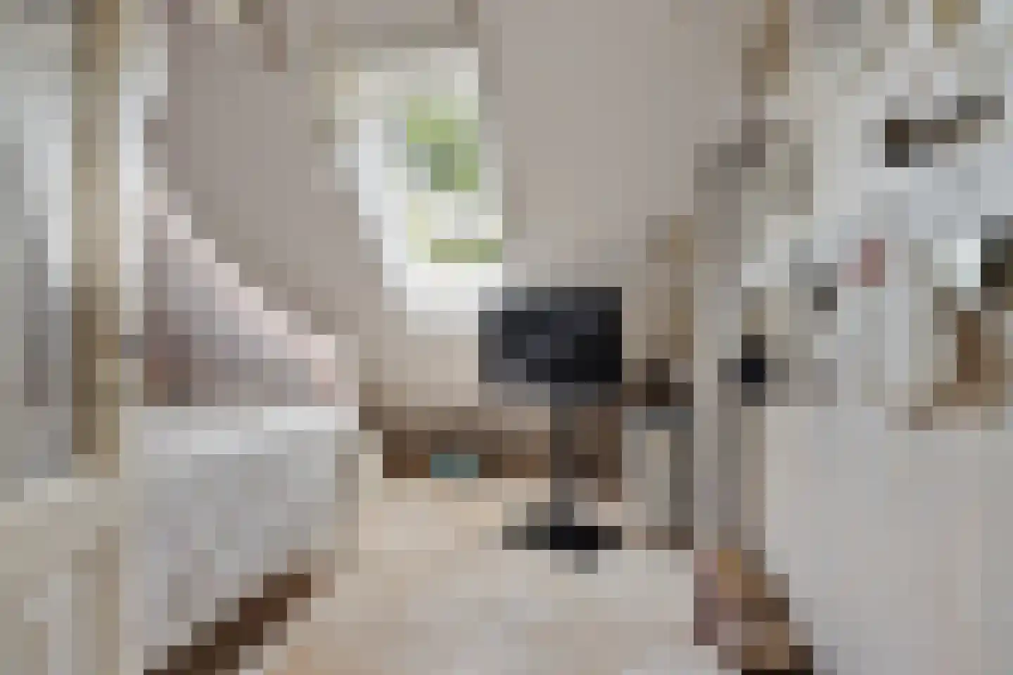 Nieuwe Statenzijl 37 Drieborg thumbnail 35
