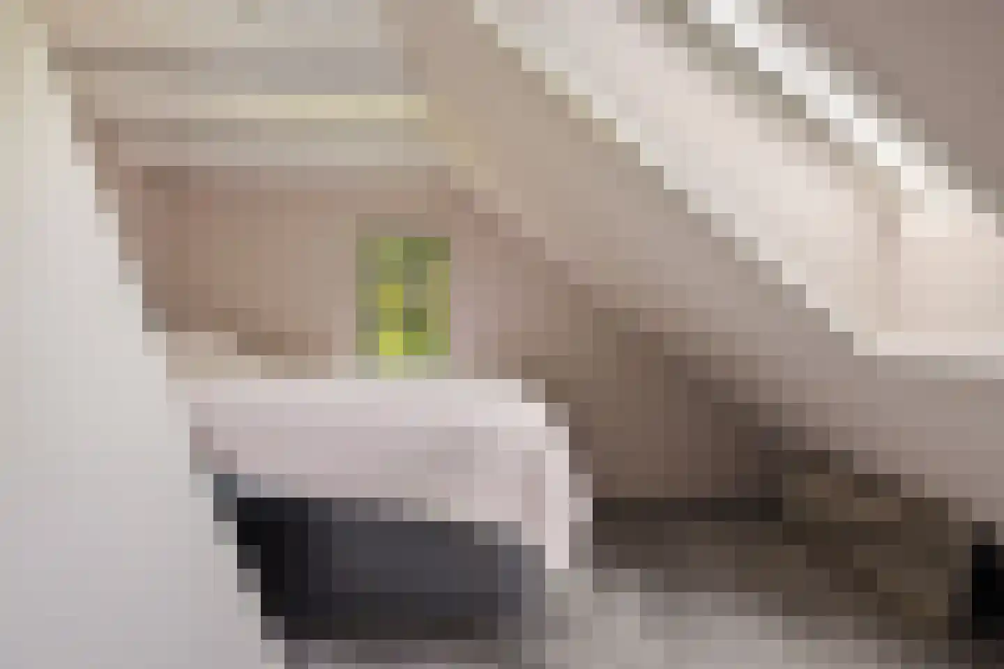 Nieuwe Statenzijl 37 Drieborg thumbnail 36