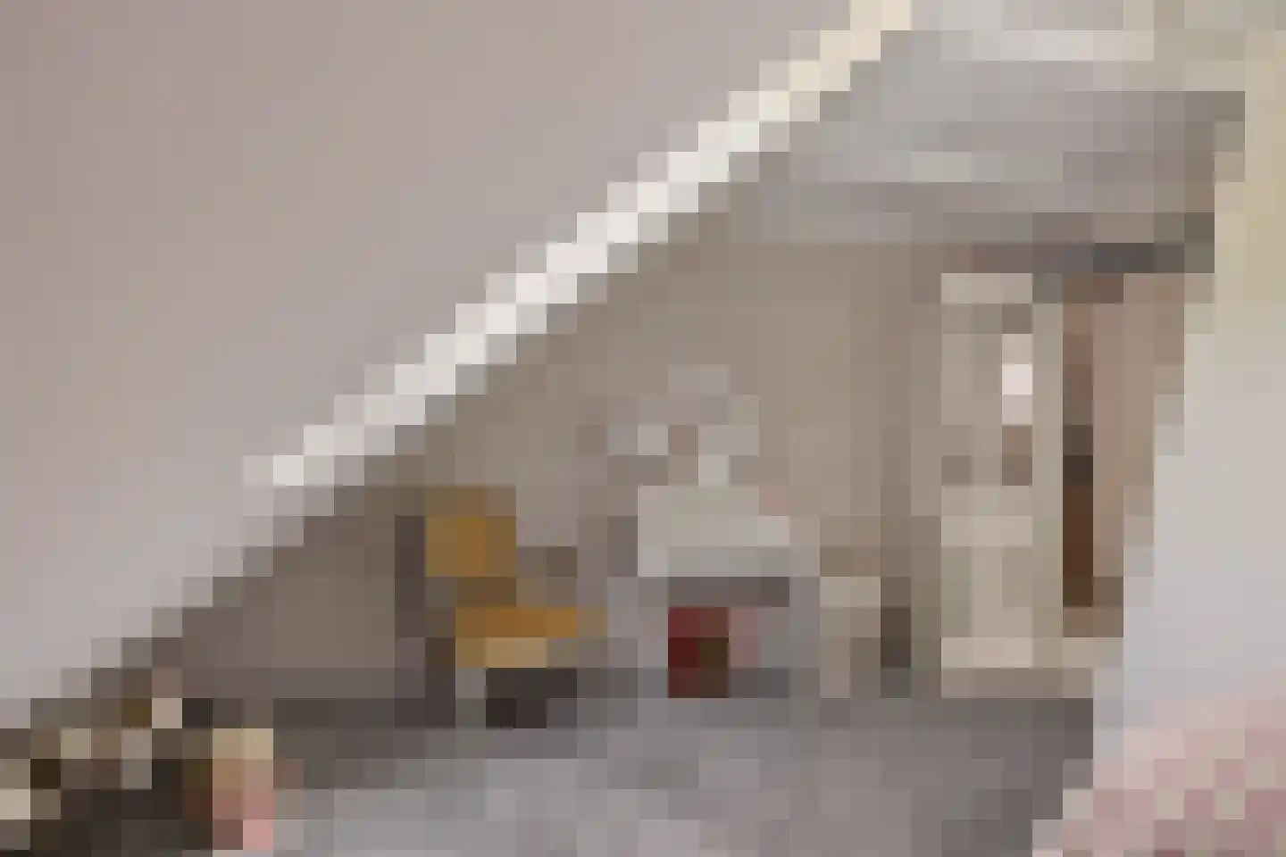 Nieuwe Statenzijl 37 Drieborg thumbnail 37