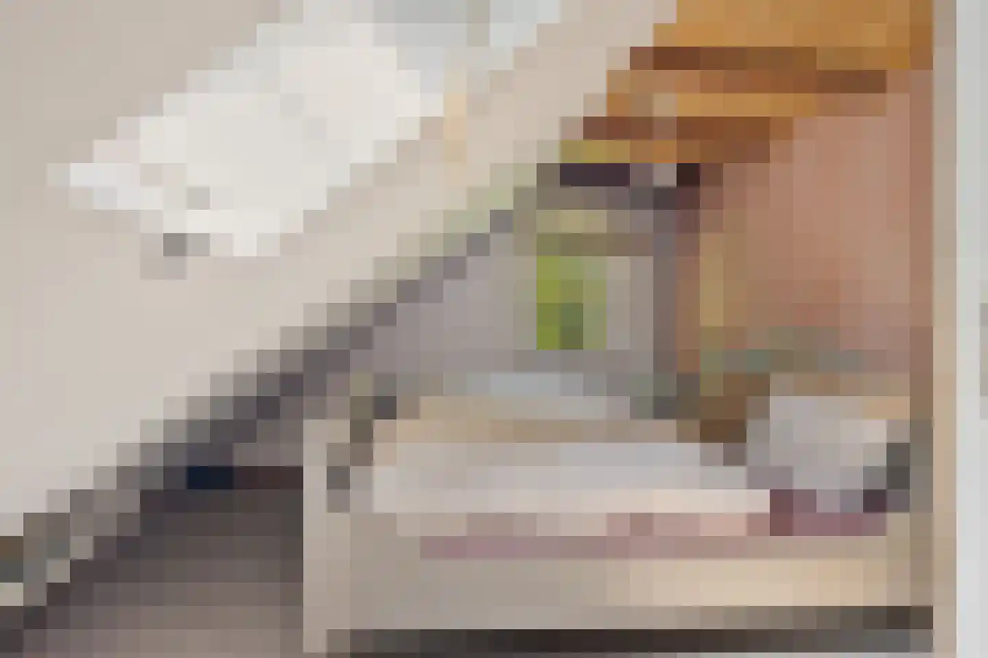 Nieuwe Statenzijl 37 Drieborg thumbnail 38