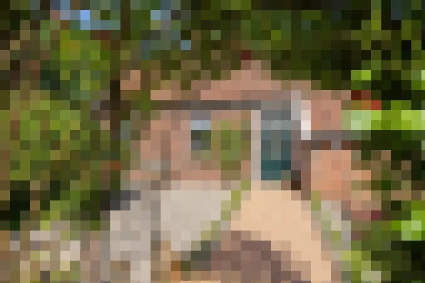 Nieuwe Statenzijl 37 Drieborg thumbnail 4