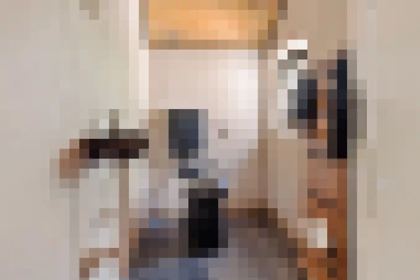 Nieuwe Statenzijl 37 Drieborg thumbnail 40