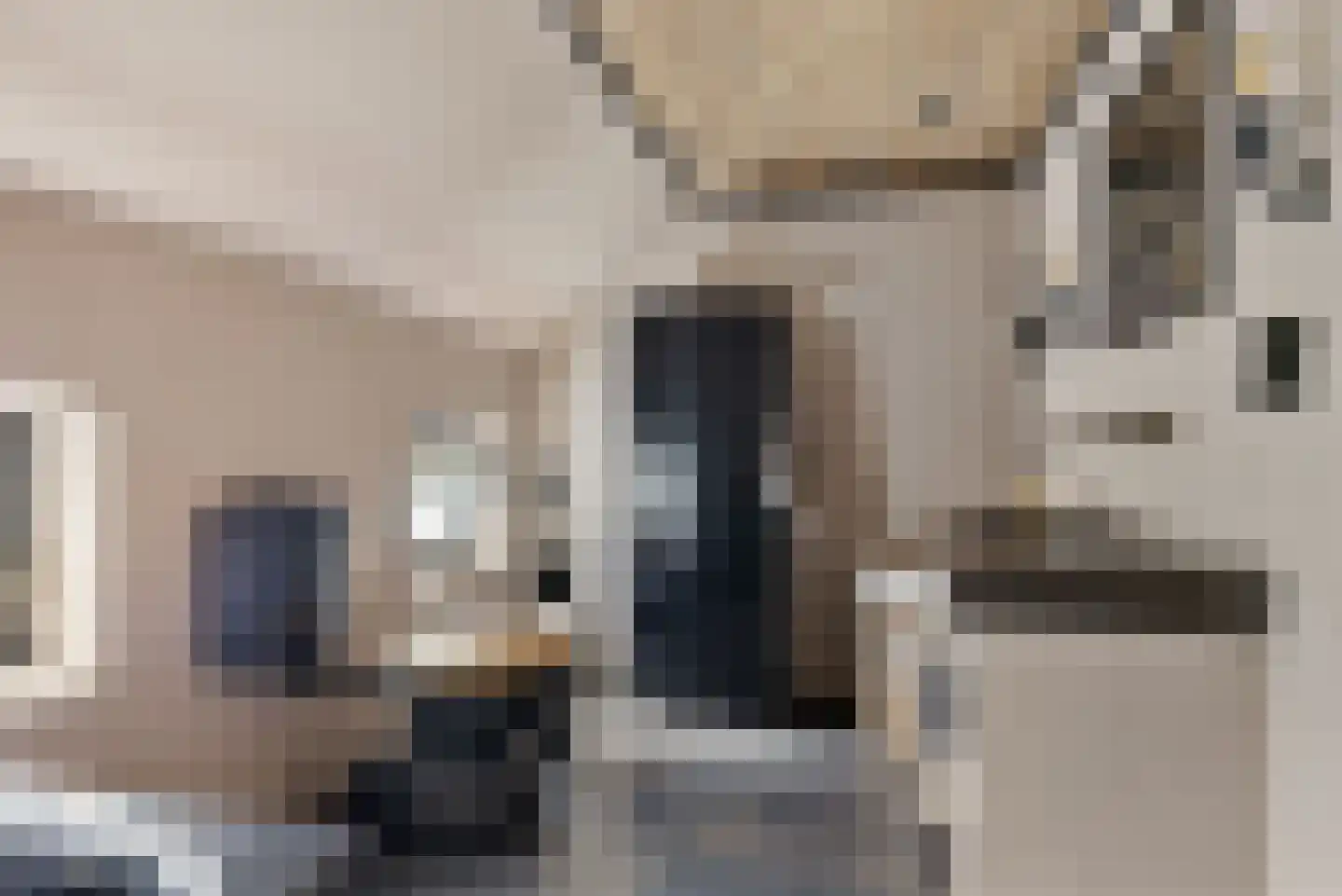 Nieuwe Statenzijl 37 Drieborg thumbnail 43