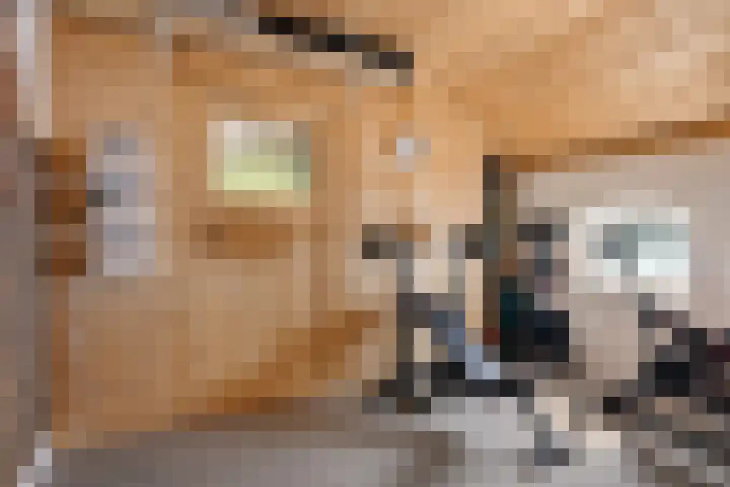 Nieuwe Statenzijl 37 Drieborg thumbnail 47