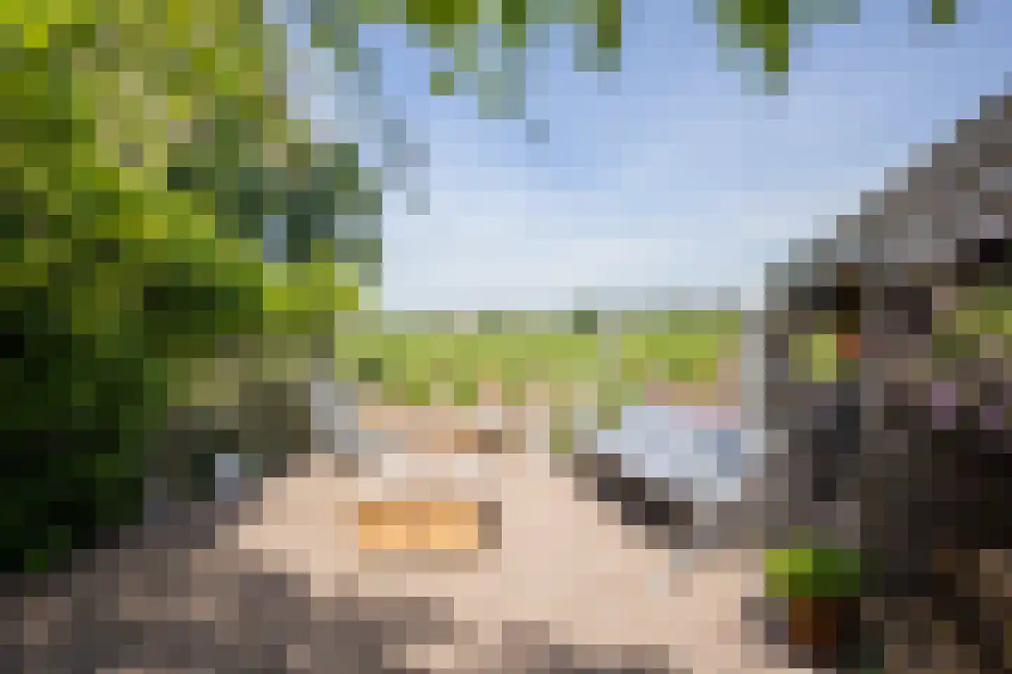 Nieuwe Statenzijl 37 Drieborg thumbnail 49