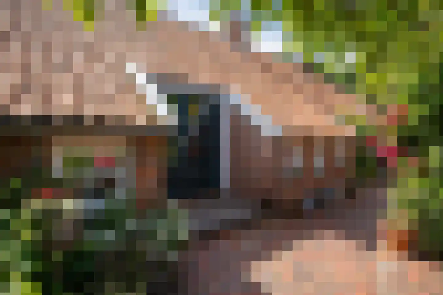 Nieuwe Statenzijl 37 Drieborg thumbnail 52