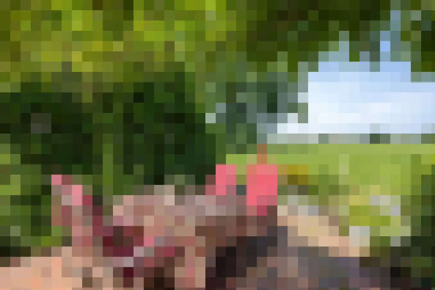 Nieuwe Statenzijl 37 Drieborg thumbnail 53