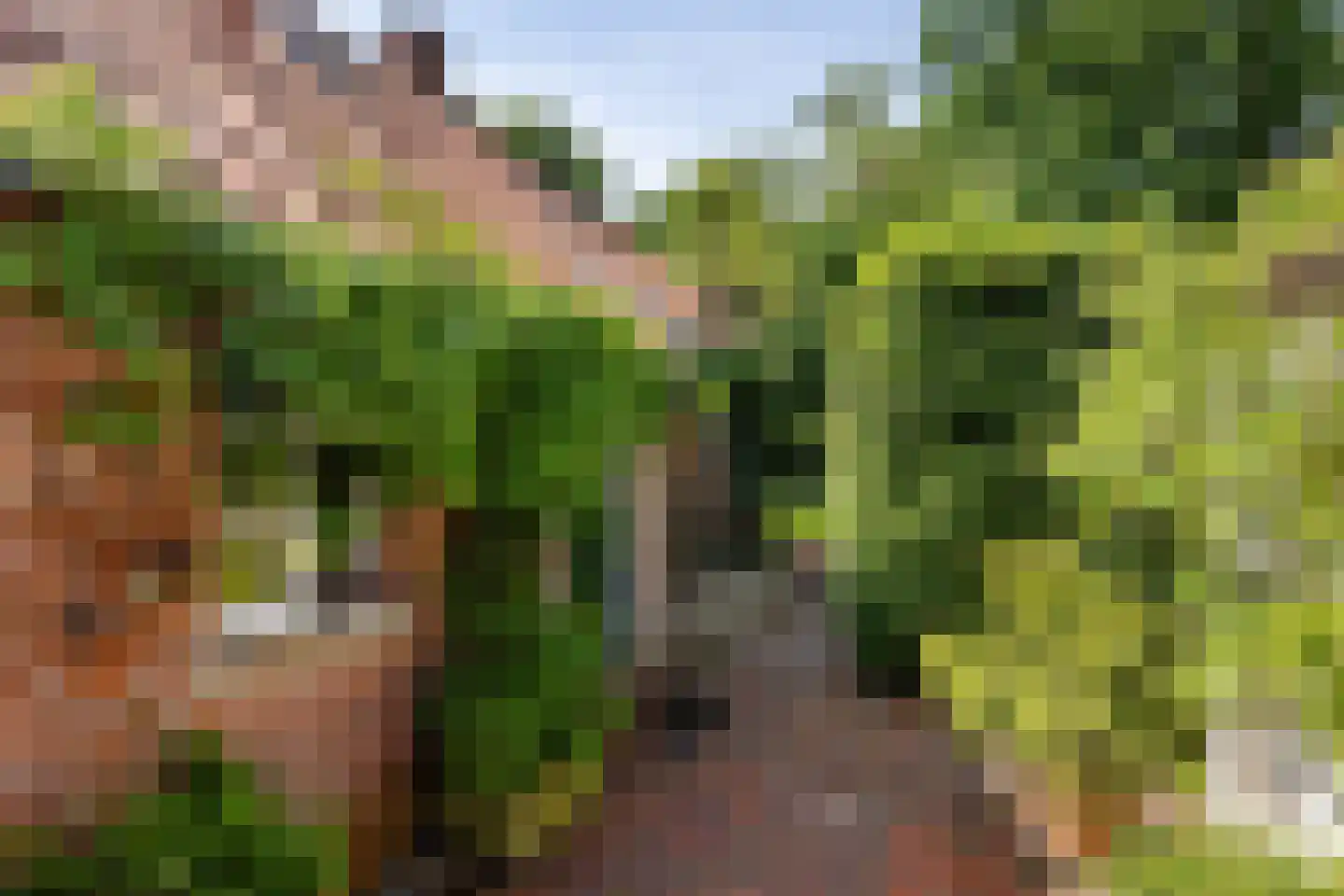 Nieuwe Statenzijl 37 Drieborg thumbnail 56