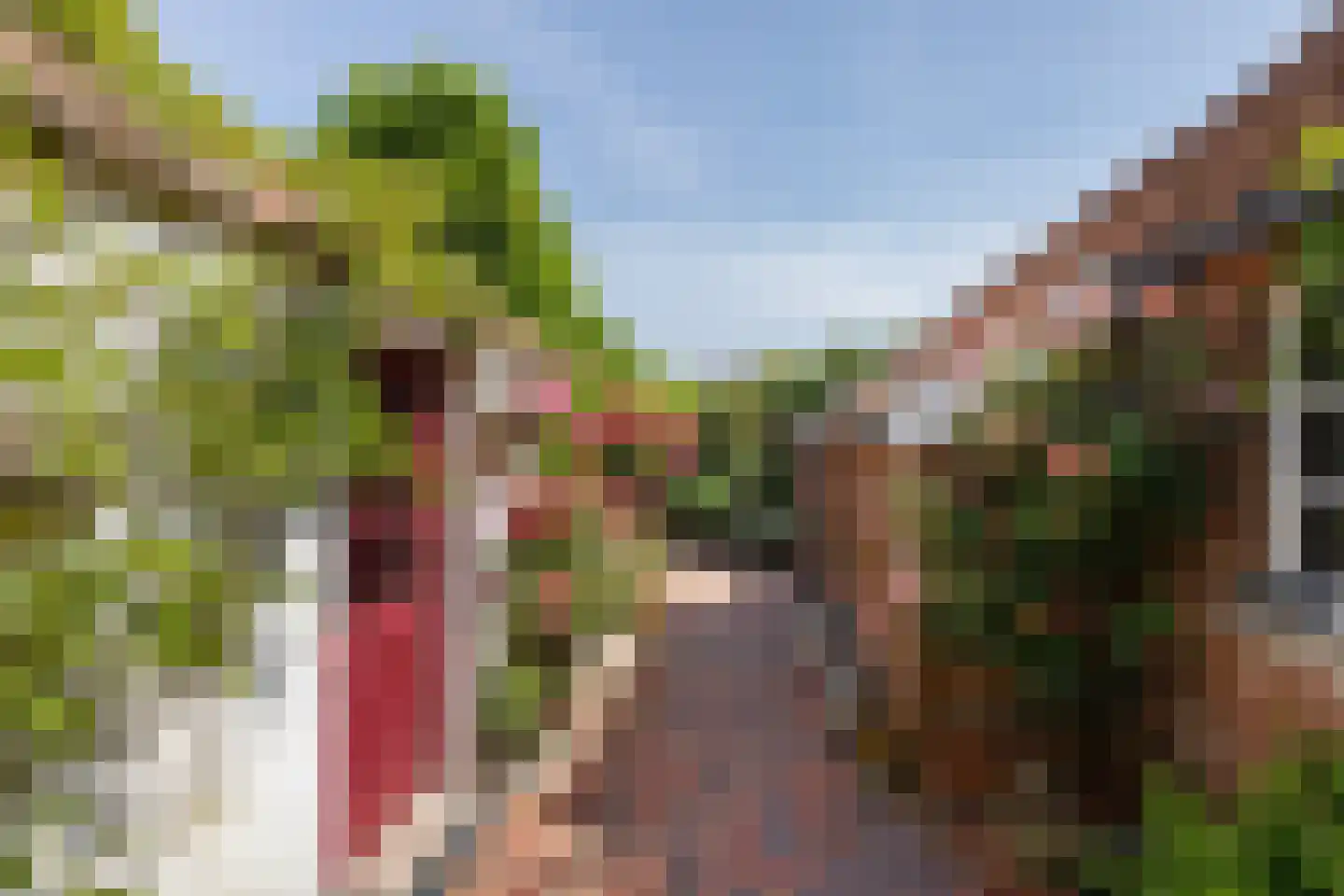 Nieuwe Statenzijl 37 Drieborg thumbnail 57