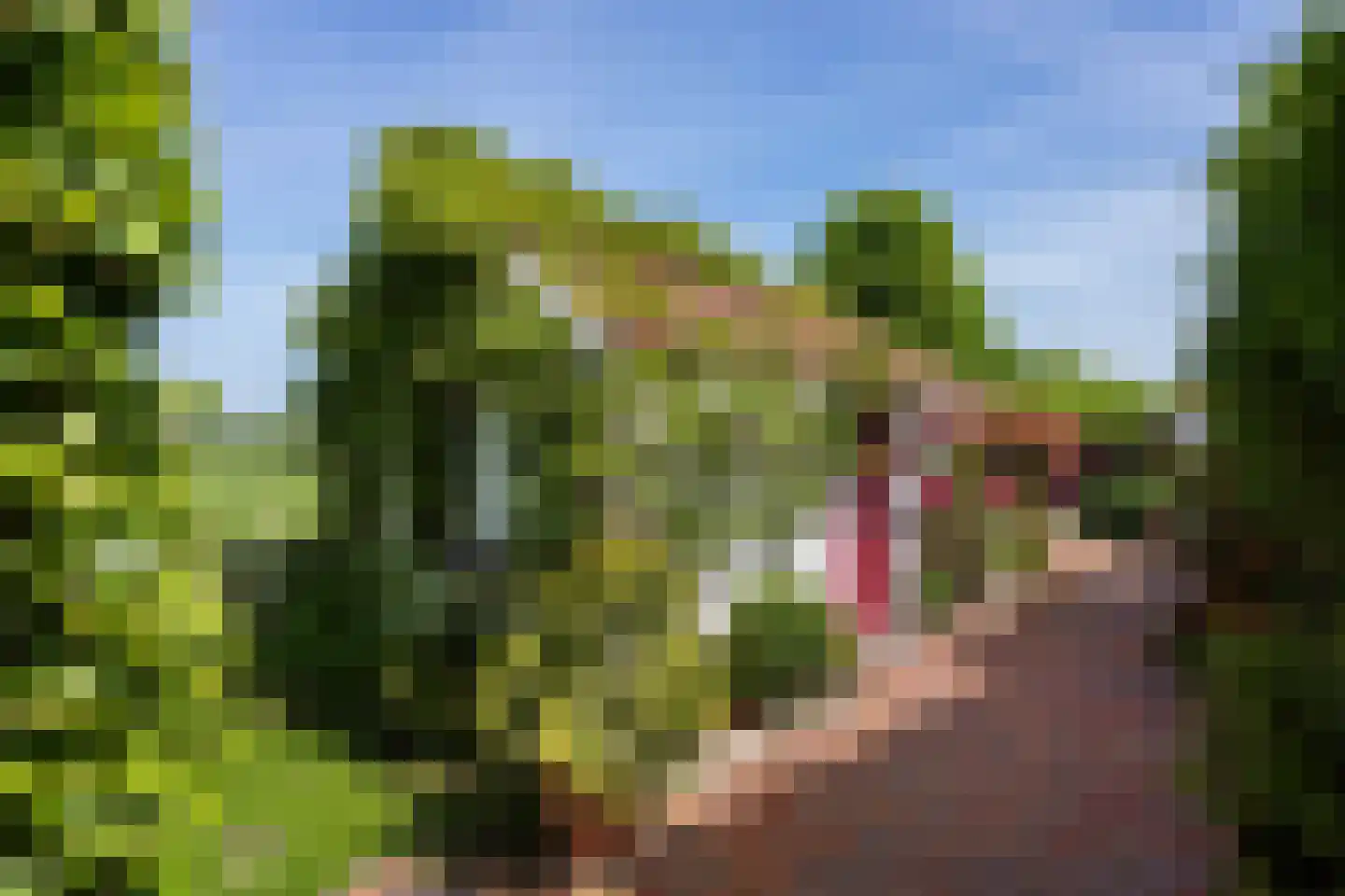 Nieuwe Statenzijl 37 Drieborg thumbnail 58