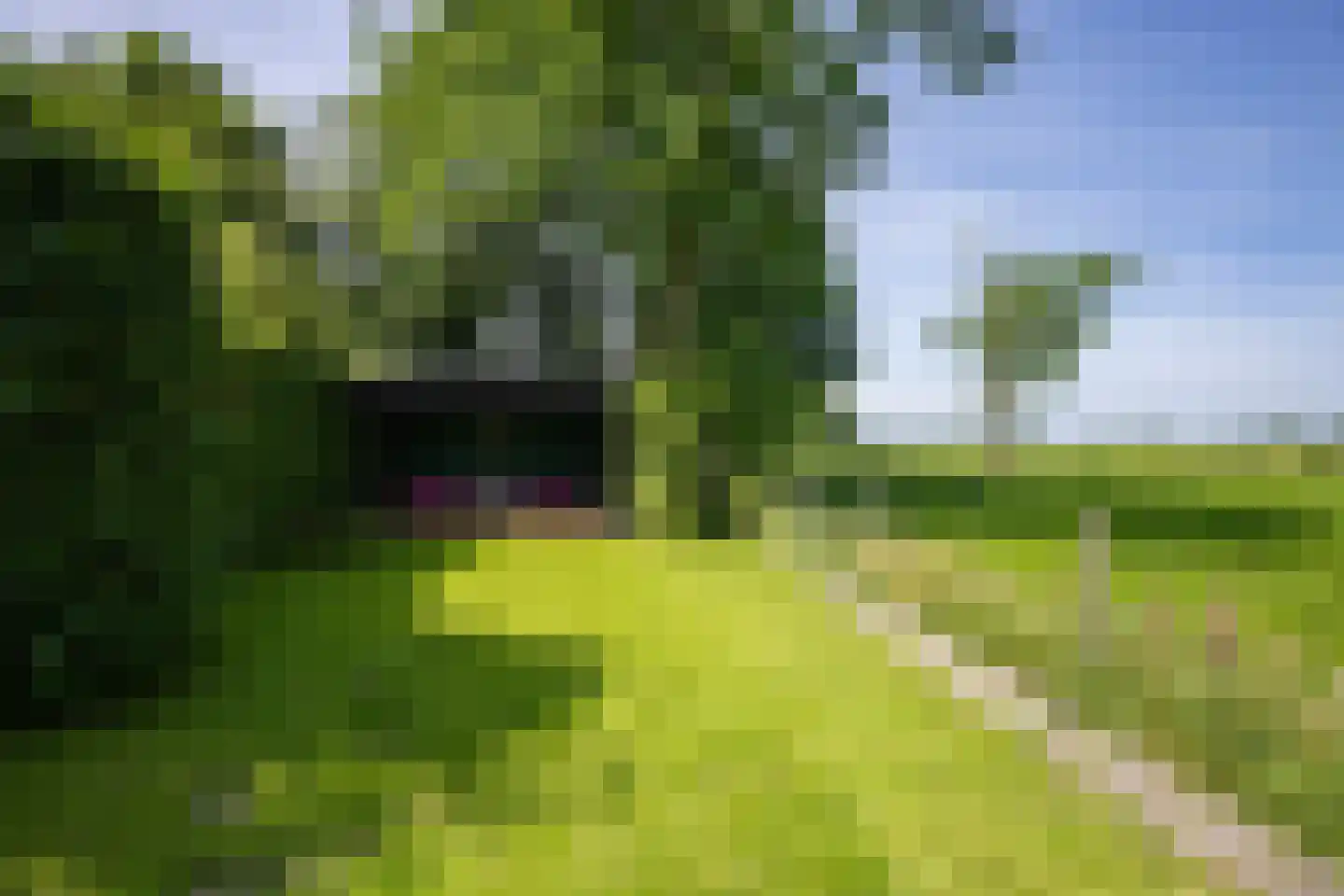 Nieuwe Statenzijl 37 Drieborg thumbnail 60