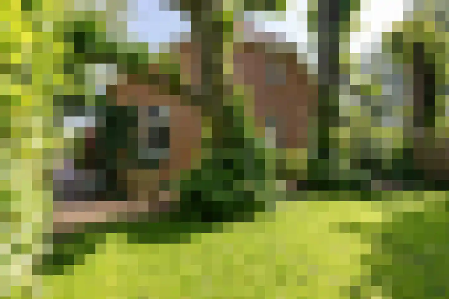 Nieuwe Statenzijl 37 Drieborg thumbnail 63