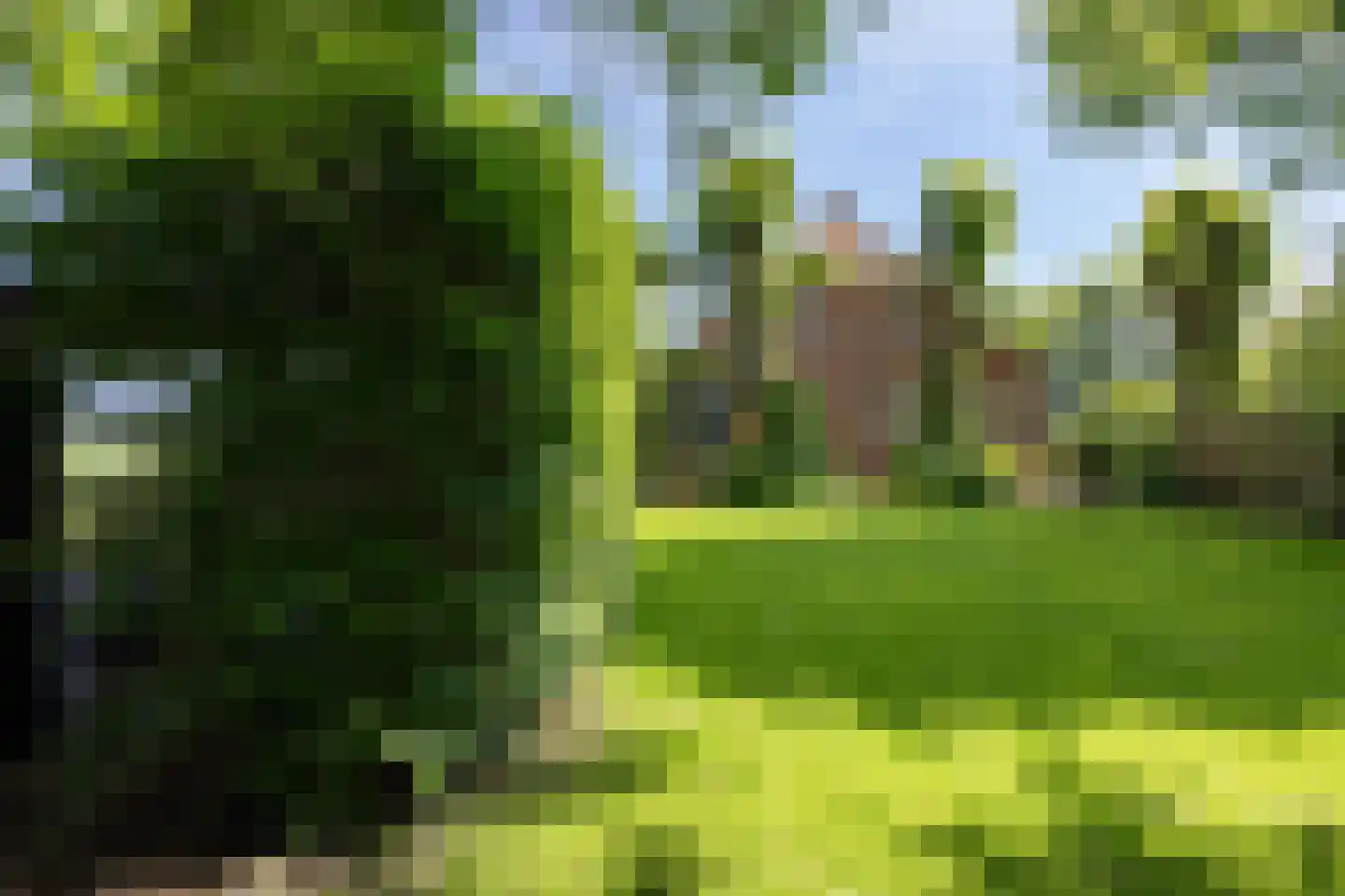 Nieuwe Statenzijl 37 Drieborg thumbnail 65