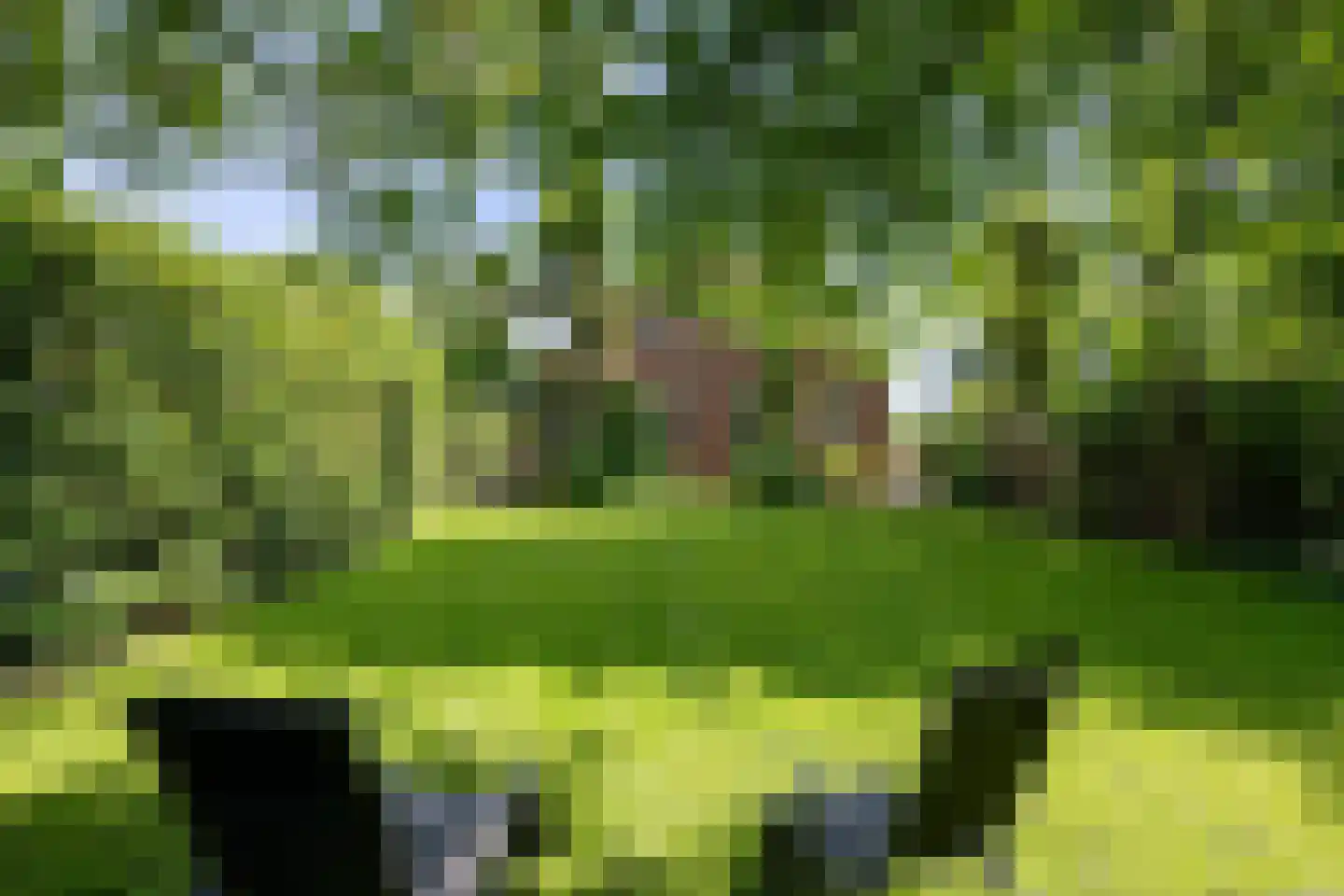 Nieuwe Statenzijl 37 Drieborg thumbnail 66