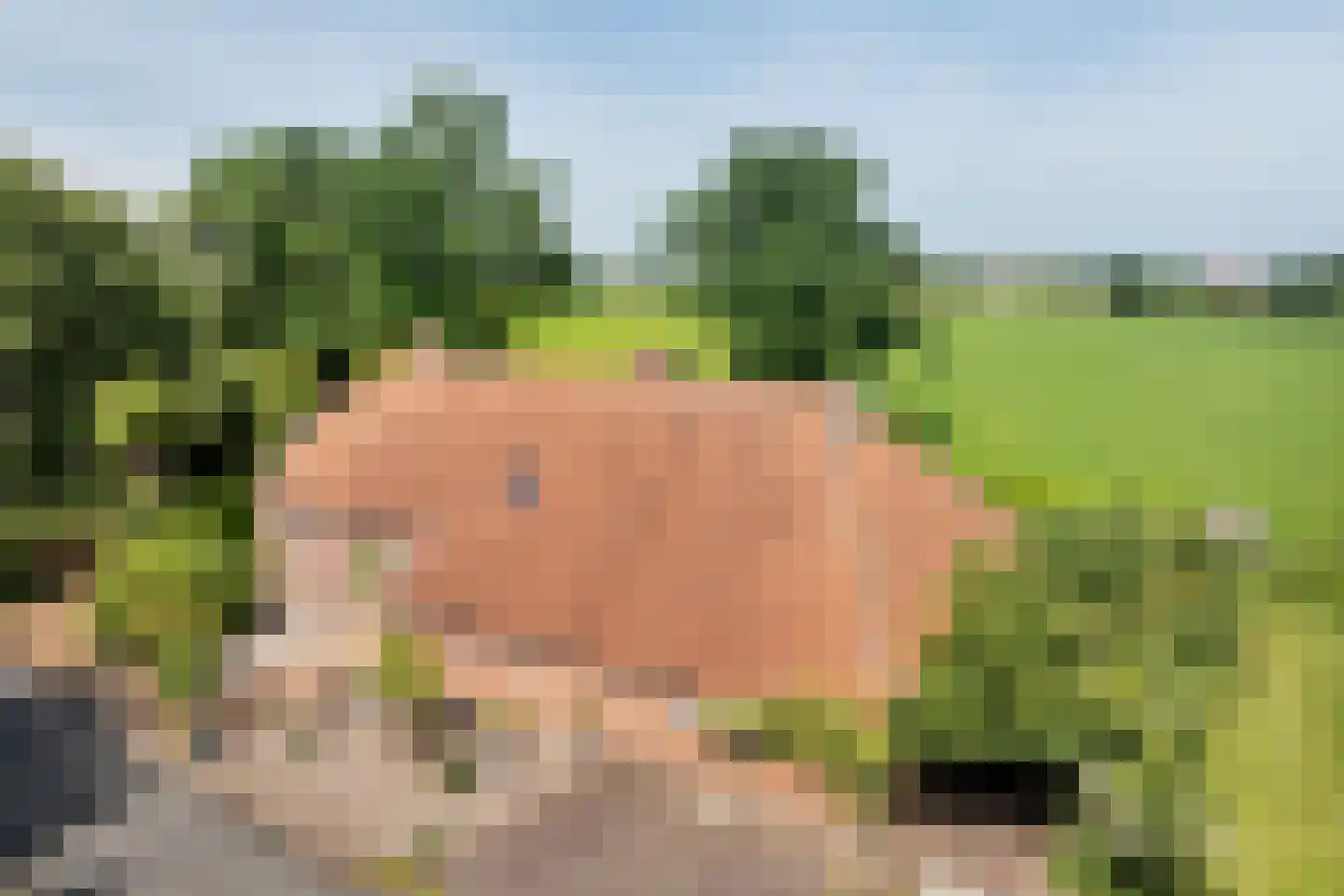 Nieuwe Statenzijl 37 Drieborg thumbnail 67
