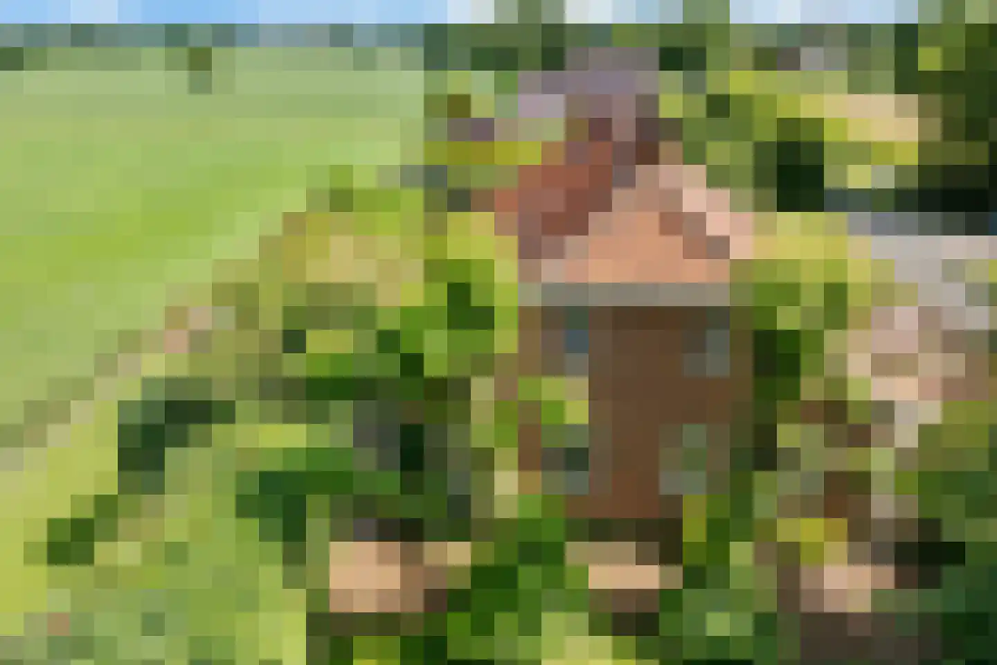 Nieuwe Statenzijl 37 Drieborg thumbnail 68