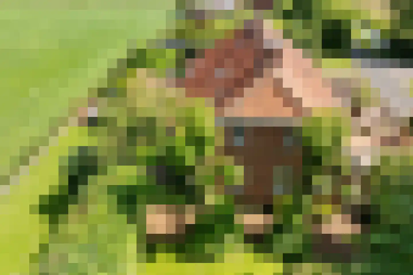 Nieuwe Statenzijl 37 Drieborg thumbnail 69