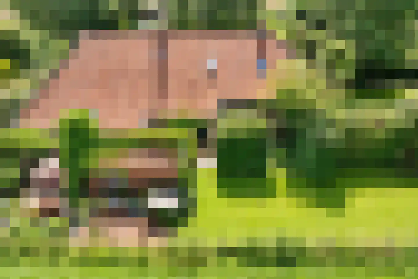 Nieuwe Statenzijl 37 Drieborg thumbnail 70