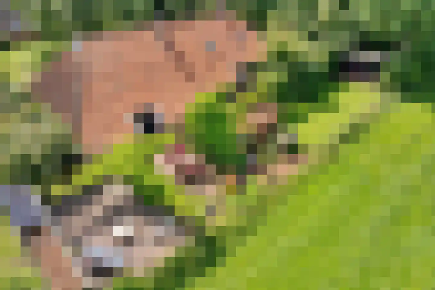 Nieuwe Statenzijl 37 Drieborg thumbnail 71