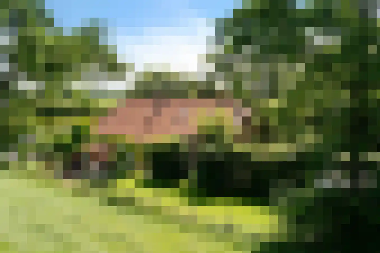 Nieuwe Statenzijl 37 Drieborg thumbnail 72